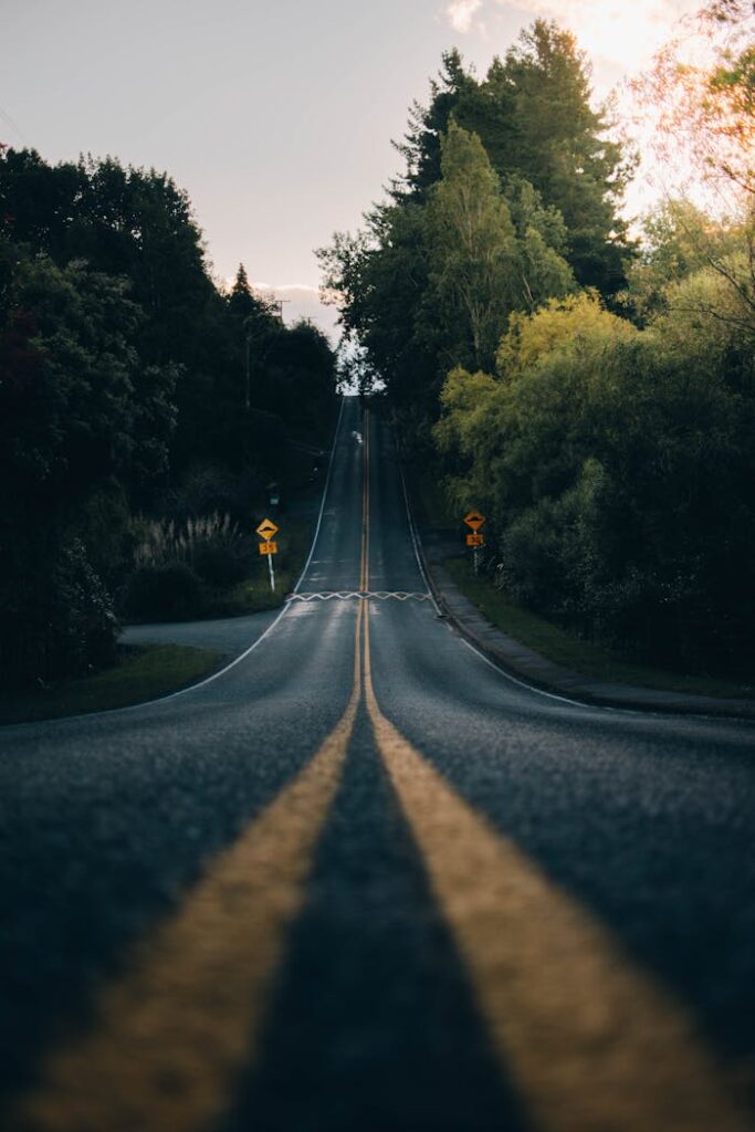 Straight Asphalt Road Between Trees